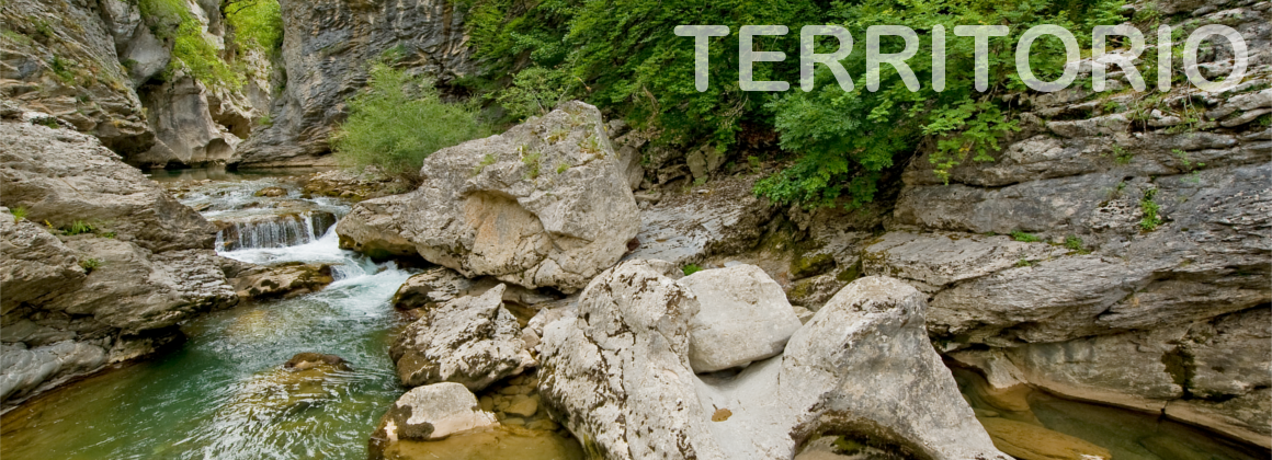 Territorios De Fotos Pictures to Pin on Pinterest - PinsDaddy