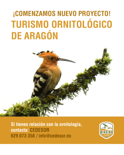 Cartel Turismo Ornitológico Aragón