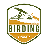 BIRDING ARAGÓN Turismo ornitológico de Aragón