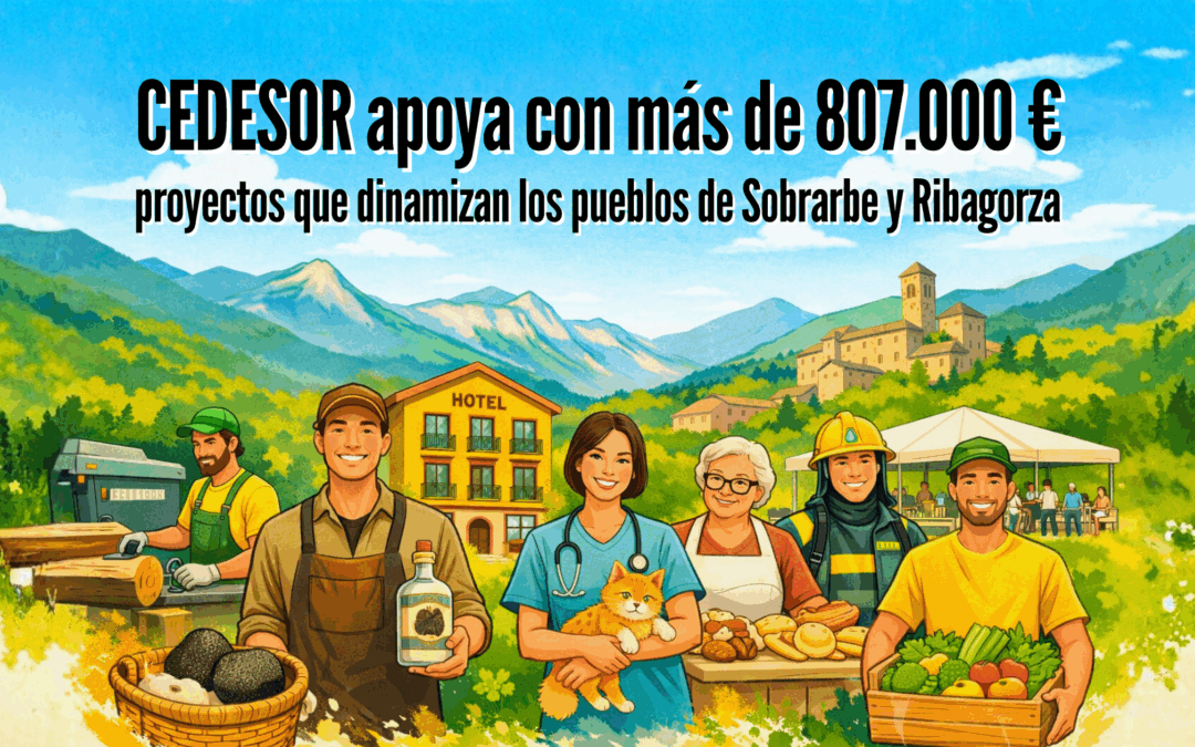 CEDESOR ayudas leader 12 proyectos aprobados